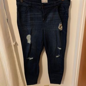 Molly & Isadora Skinny Jeans